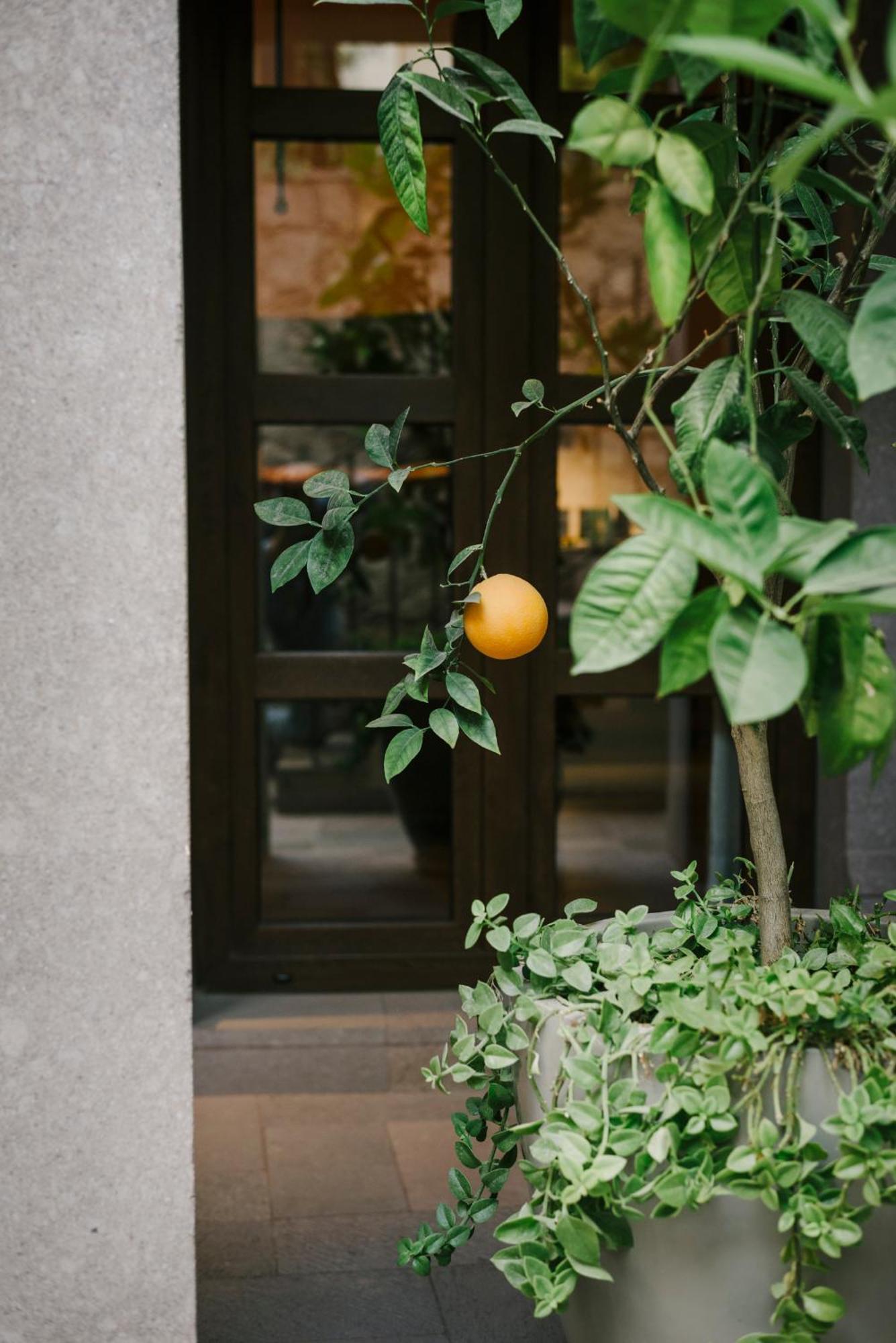 Hotel Apapacho Boutique San Miguel de Allende Kültér fotó